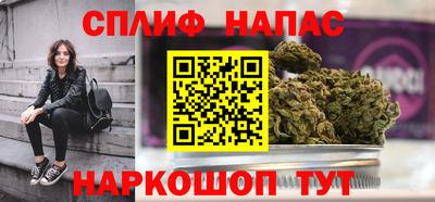 сатива Гатчина