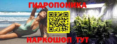 ПСИЛОЦИБИНОВЫЕ ГРИБЫ Гагарин