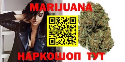 сатива Гатчина